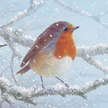 Christmas Cards - Robin - Pack of 10